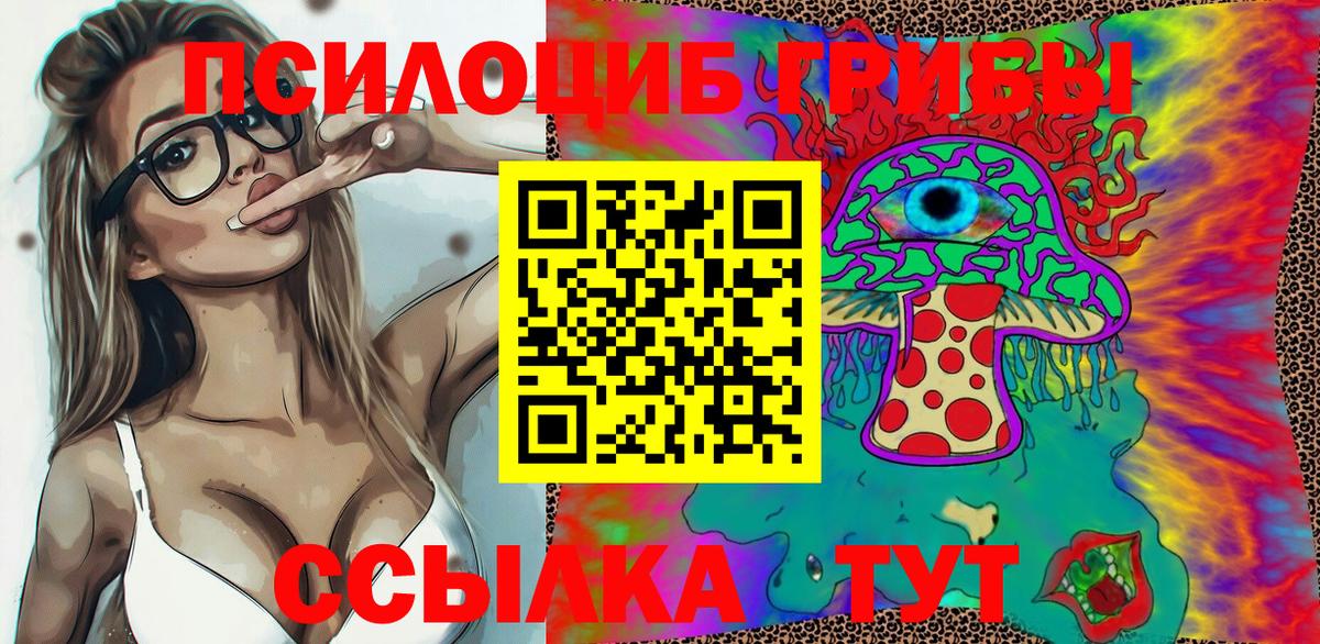 Саров  Галлюциногенные грибы прущие грибы  Вход с VPN 